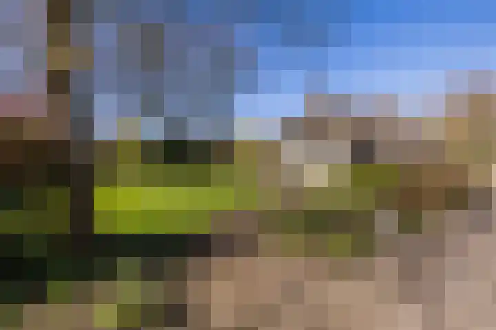 Ruinerweg 39 Koekange thumbnail 49