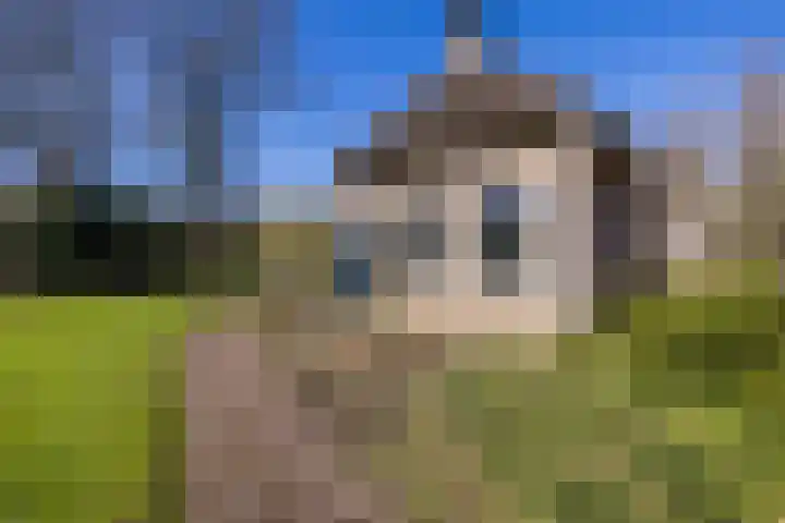 Ruinerweg 39 Koekange thumbnail 50