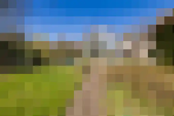 Ruinerweg 39 Koekange thumbnail 55