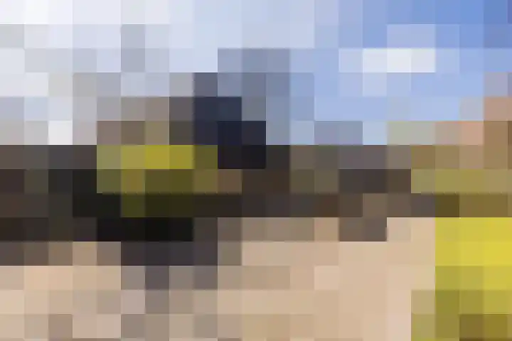 Ruinerweg 39 Koekange thumbnail 59