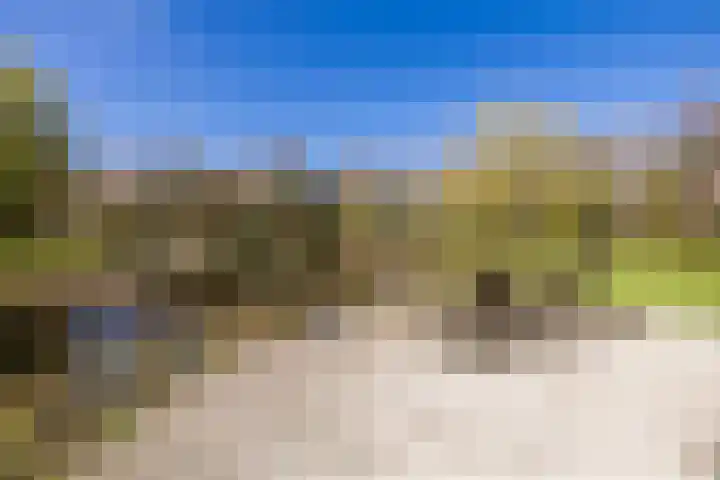 Ruinerweg 39 Koekange thumbnail 6
