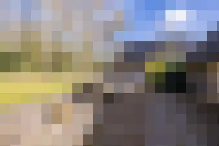 Ruinerweg 39 Koekange thumbnail 60