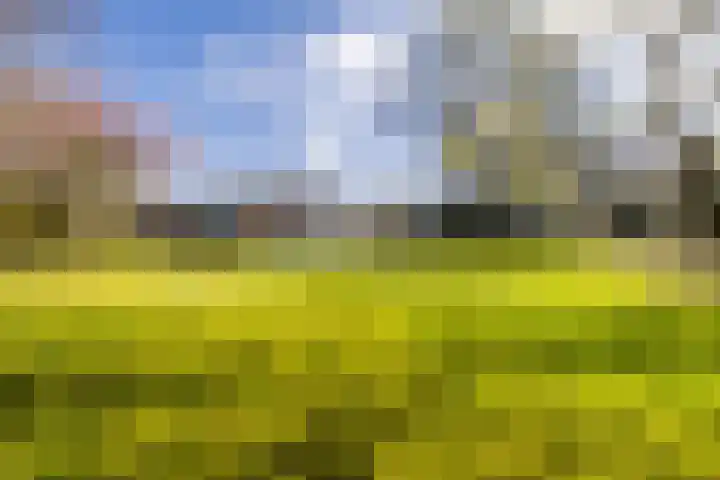 Ruinerweg 39 Koekange thumbnail 61