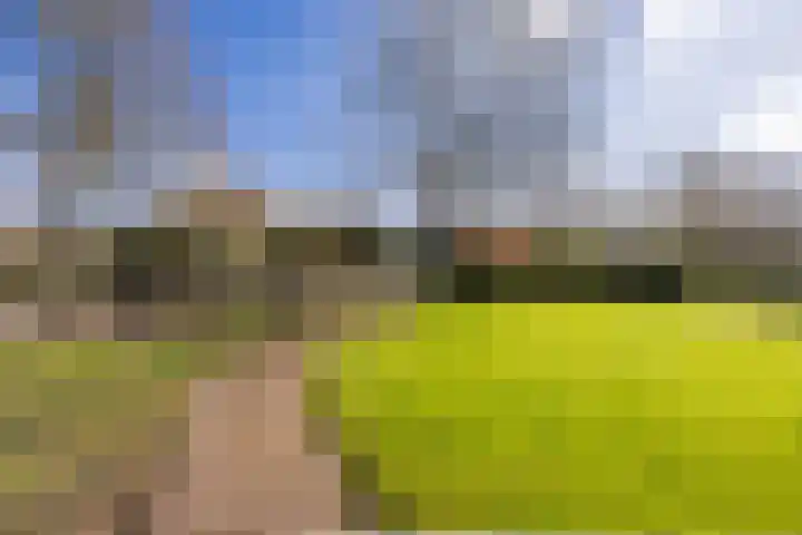 Ruinerweg 39 Koekange thumbnail 62
