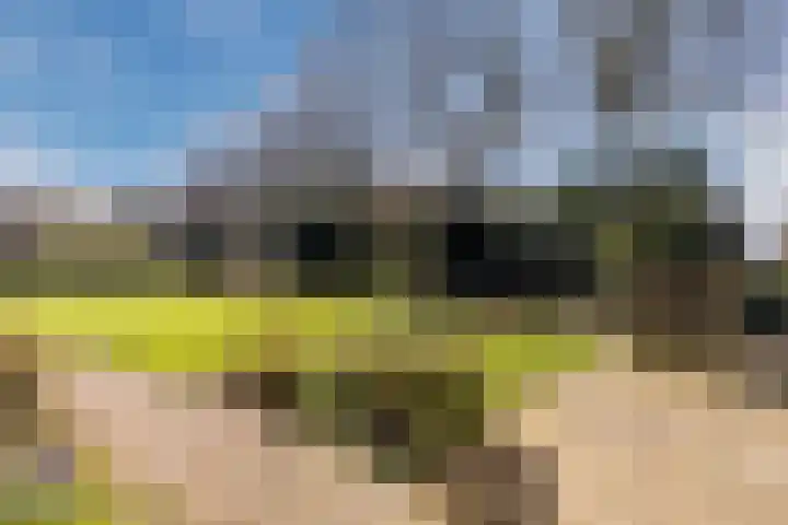Ruinerweg 39 Koekange thumbnail 63