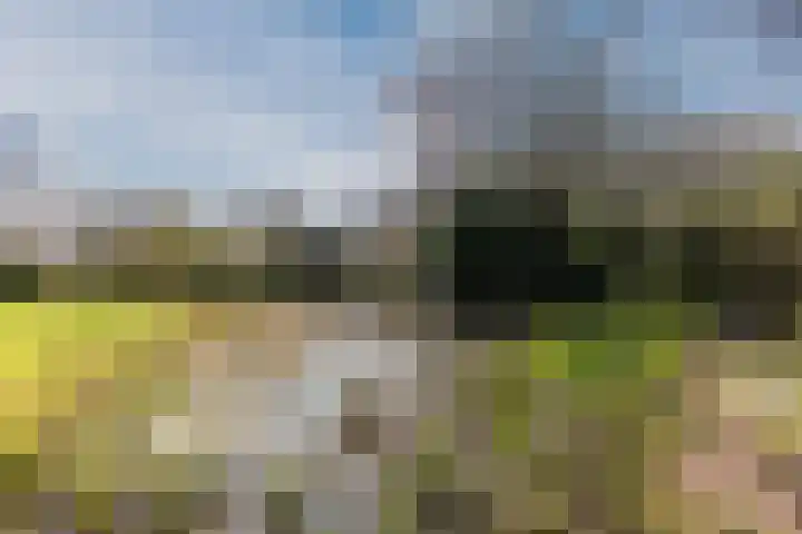 Ruinerweg 39 Koekange thumbnail 64