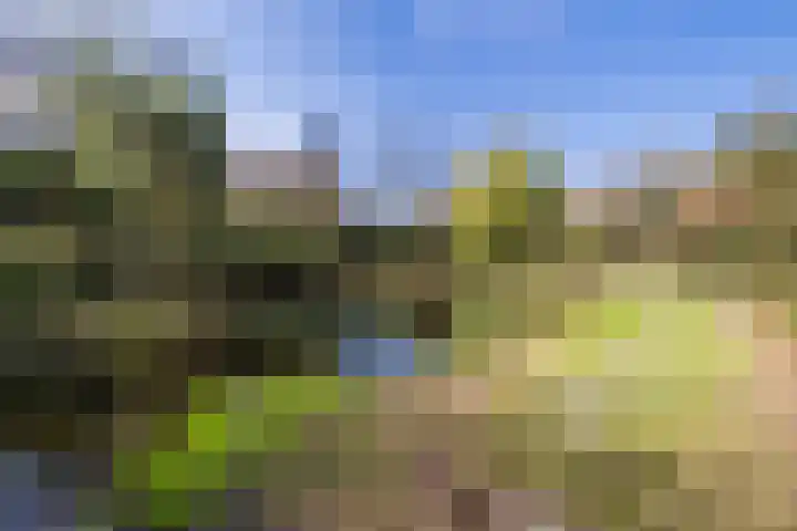 Ruinerweg 39 Koekange thumbnail 65
