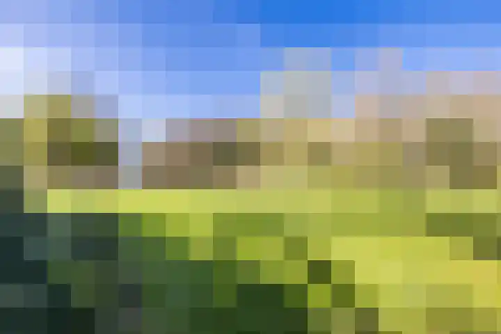 Ruinerweg 39 Koekange thumbnail 67