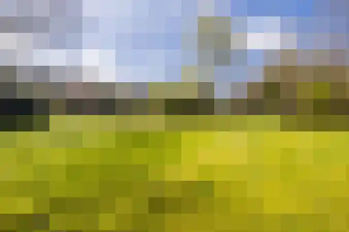 Ruinerweg 39 Koekange thumbnail 68