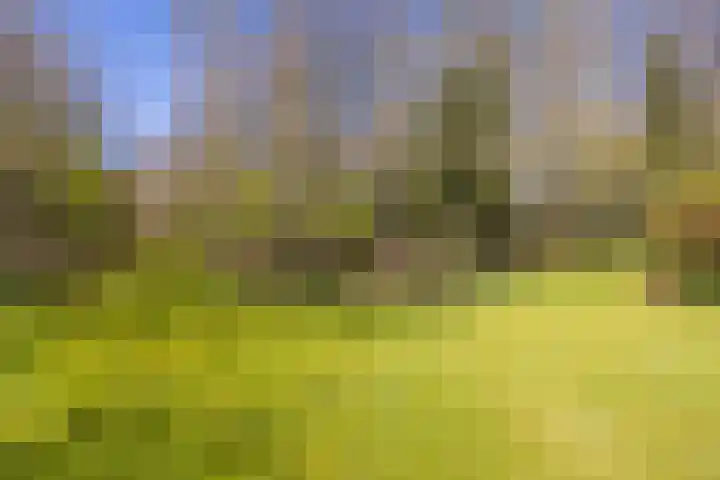 Ruinerweg 39 Koekange thumbnail 69