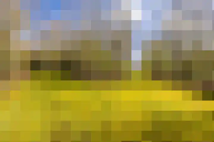Ruinerweg 39 Koekange thumbnail 70