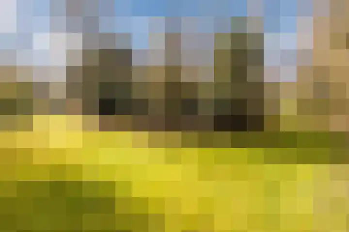 Ruinerweg 39 Koekange thumbnail 71