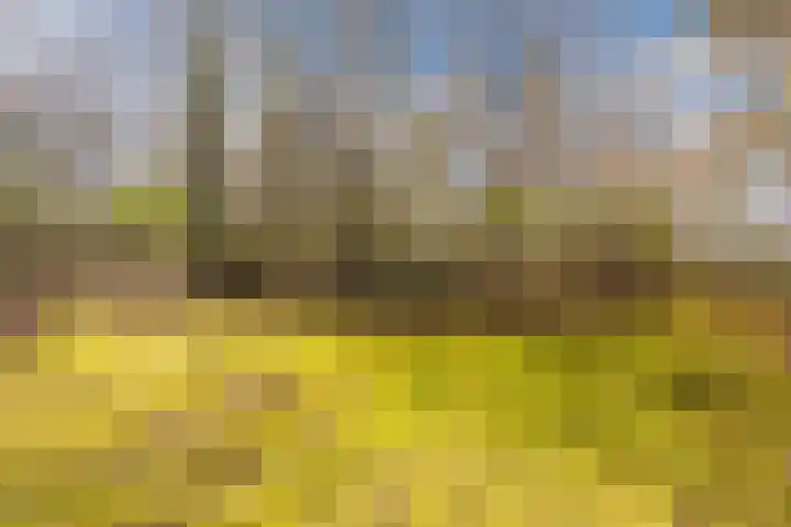 Ruinerweg 39 Koekange thumbnail 72