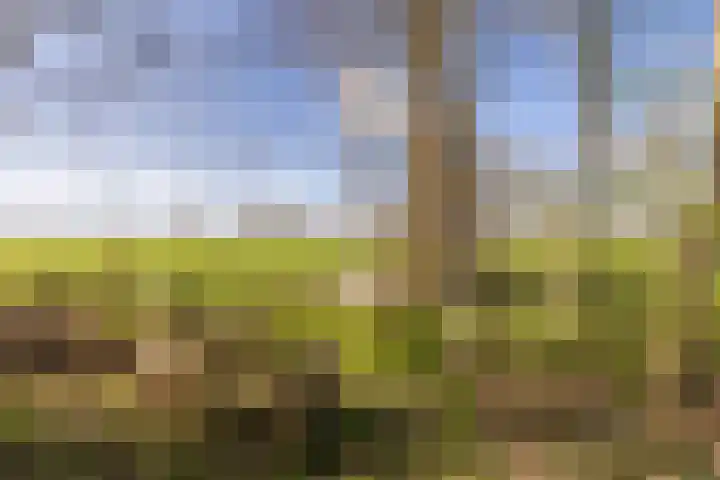 Ruinerweg 39 Koekange thumbnail 73
