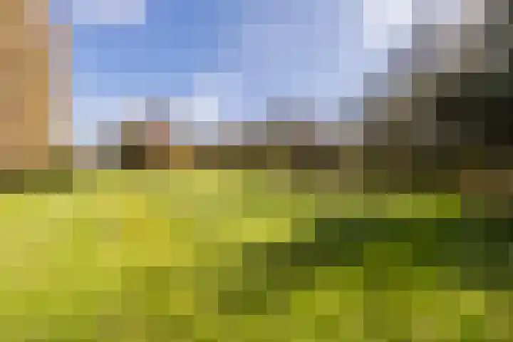 Ruinerweg 39 Koekange thumbnail 74