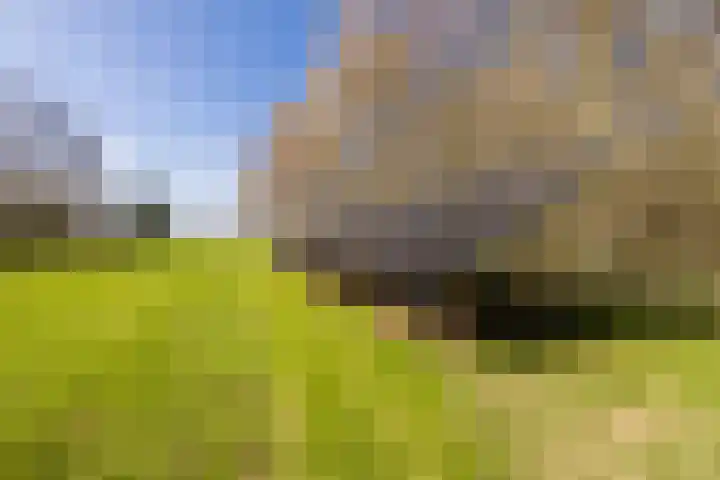 Ruinerweg 39 Koekange thumbnail 75
