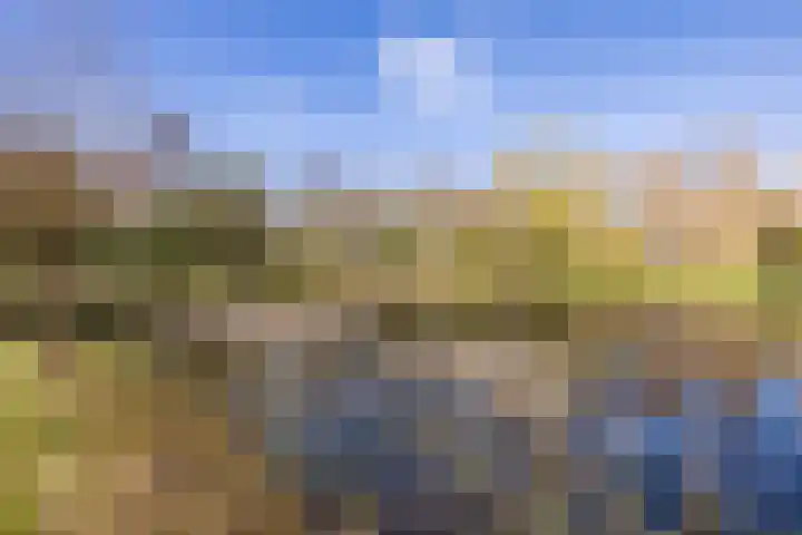 Ruinerweg 39 Koekange thumbnail 77