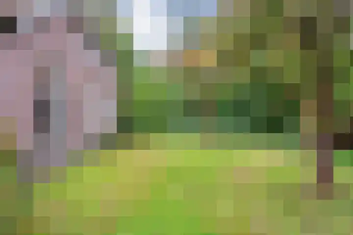 Ruinerweg 48 Koekange thumbnail 11