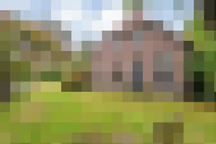 Ruinerweg 48 Koekange thumbnail 12