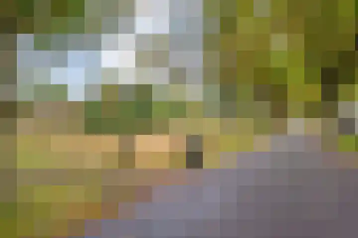 Ruinerweg 48 Koekange thumbnail 13