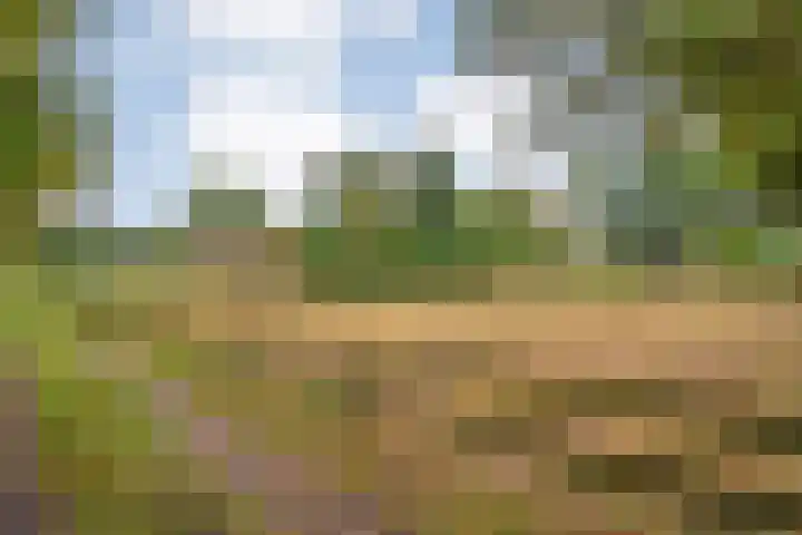 Ruinerweg 48 Koekange thumbnail 14