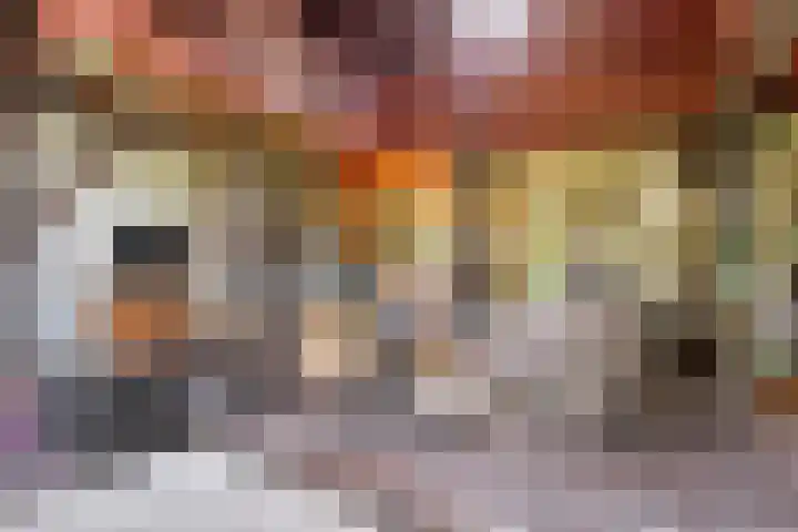 Ruinerweg 48 Koekange thumbnail 16