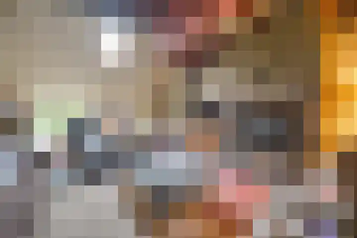 Ruinerweg 48 Koekange thumbnail 18