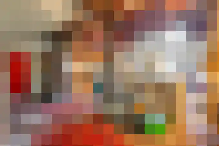 Ruinerweg 48 Koekange thumbnail 19