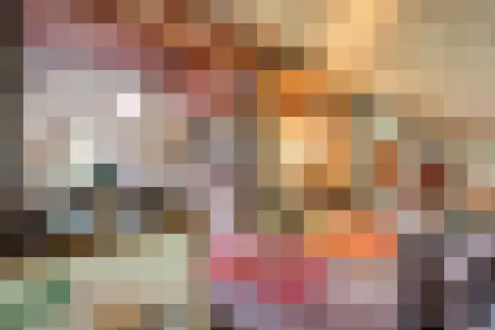 Ruinerweg 48 Koekange thumbnail 20
