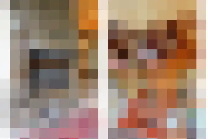 Ruinerweg 48 Koekange thumbnail 24