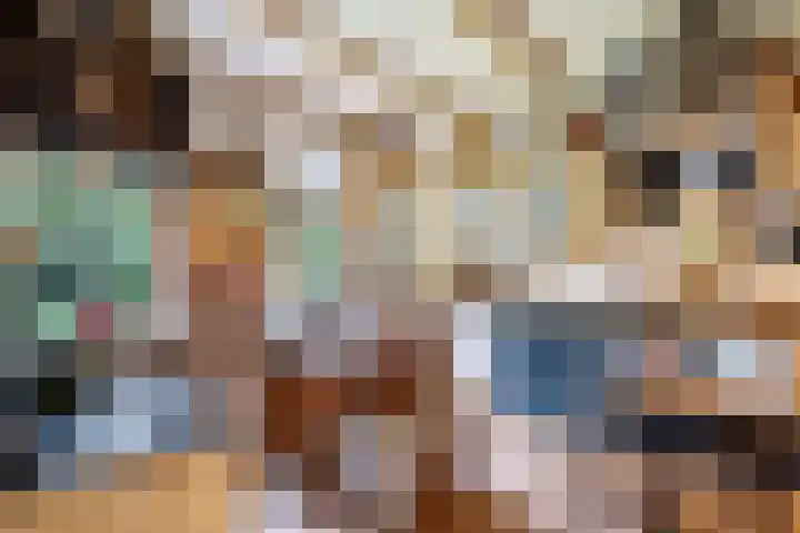 Ruinerweg 48 Koekange thumbnail 25