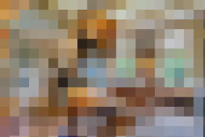 Ruinerweg 48 Koekange thumbnail 26