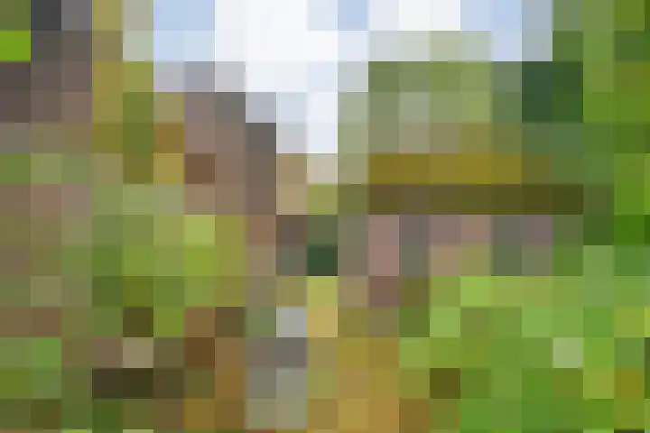 Ruinerweg 48 Koekange thumbnail 32