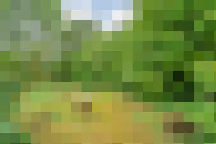 Ruinerweg 48 Koekange thumbnail 33