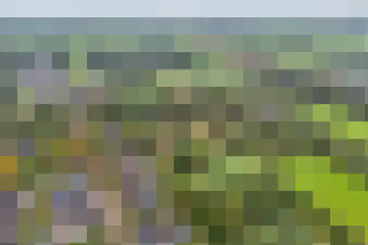 Ruinerweg 48 Koekange thumbnail 36