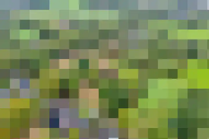 Ruinerweg 48 Koekange thumbnail 37