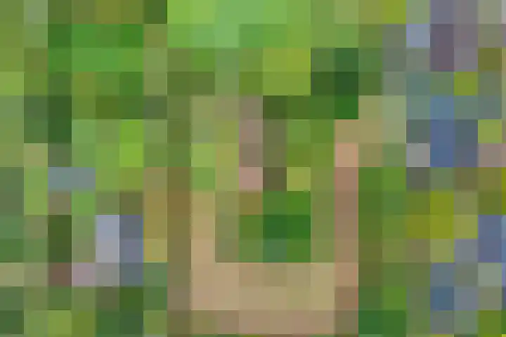 Ruinerweg 48 Koekange thumbnail 7
