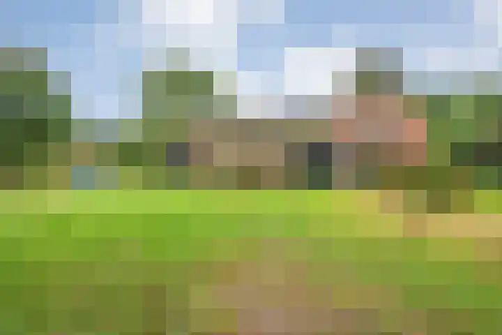 Ruinerweg 48 Koekange thumbnail 8