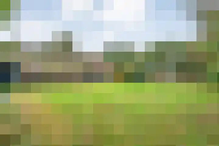 Ruinerweg 48 Koekange thumbnail 9