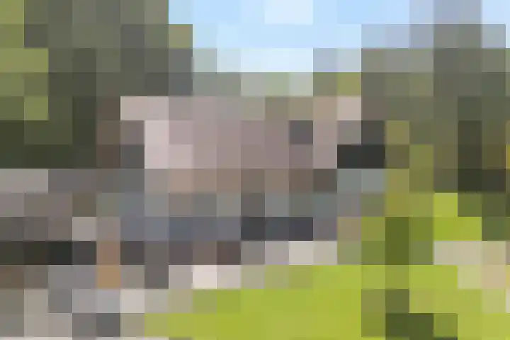 Ruinerweg 9 in Echten