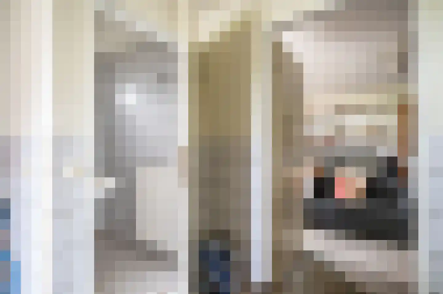Ruinerwoldseweg 2 Uffelte thumbnail 18