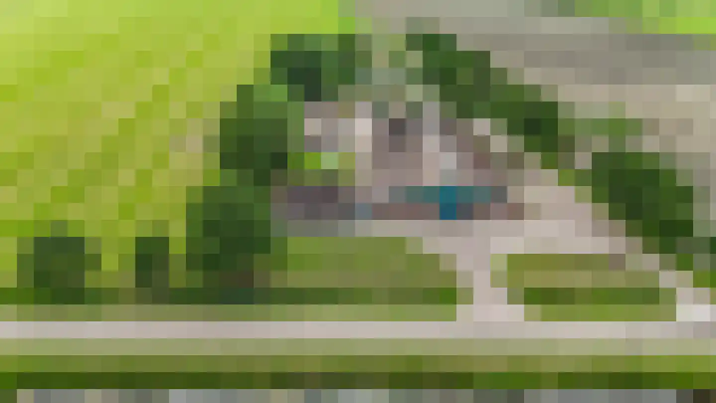 Ruinerwoldseweg 2 Uffelte thumbnail 30