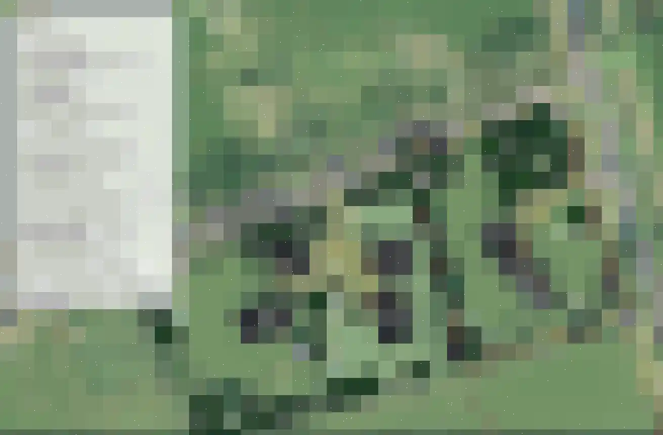 Ruinerwoldseweg 2 Uffelte thumbnail 31