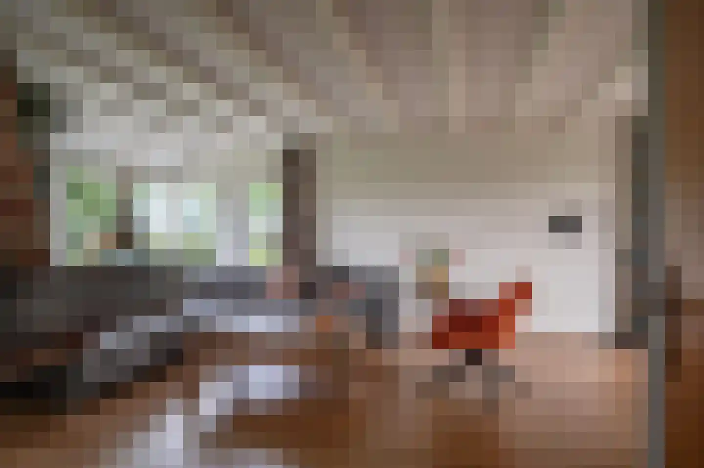 Ruinerwoldseweg 2 Uffelte thumbnail 8