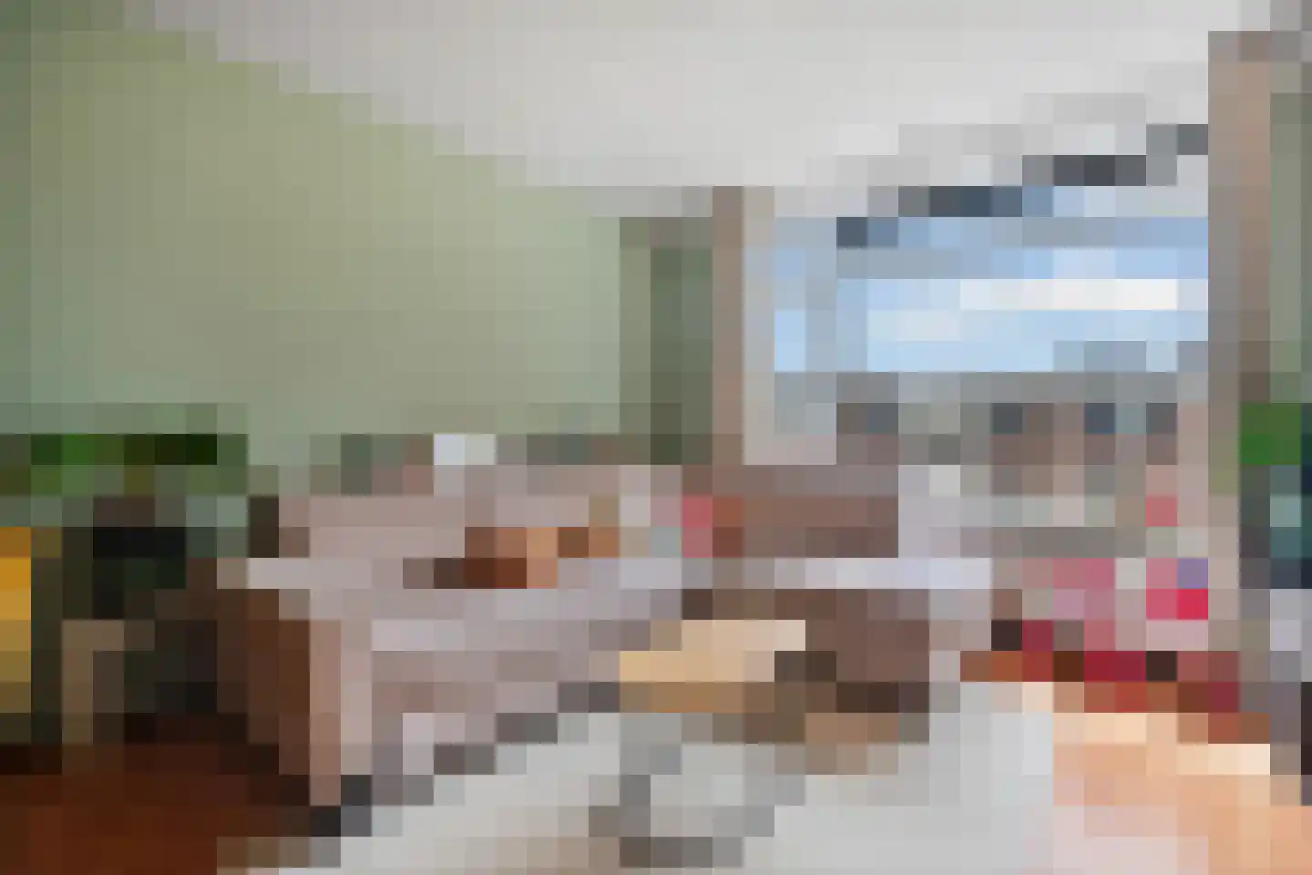 Ruinerwoldstraat 56 Den Haag thumbnail 6