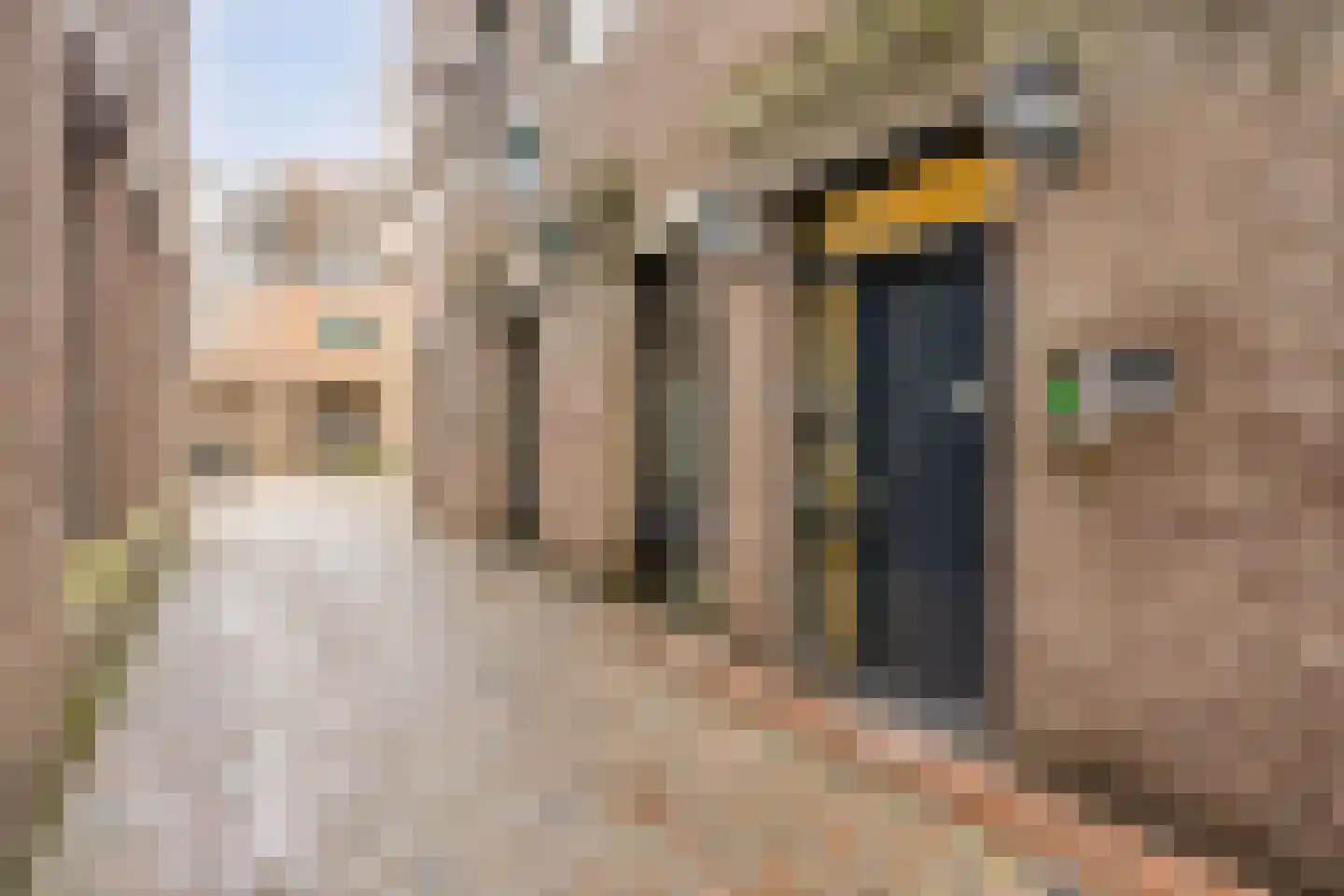 Ruische Poort 17 's-Hertogenbosch thumbnail 13
