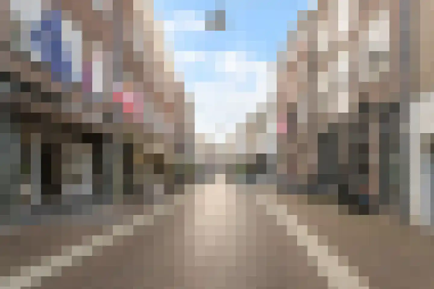 Ruische Poort 17 's-Hertogenbosch thumbnail 15