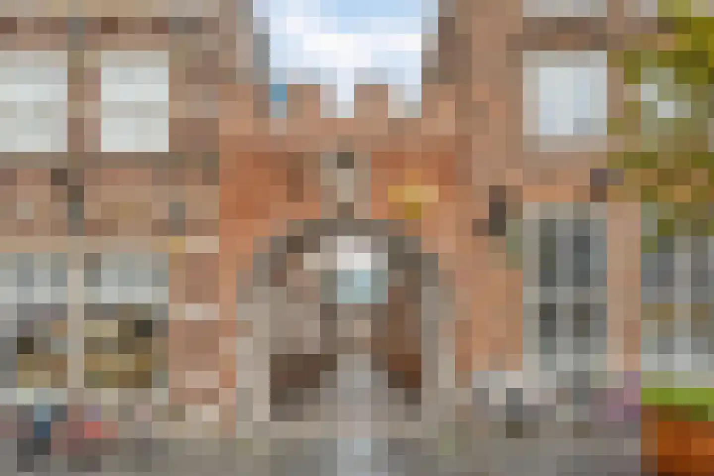 Ruische Poort 27 's-Hertogenbosch thumbnail 12