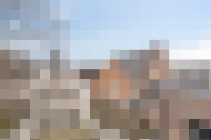 Ruische Poort 37 's-Hertogenbosch thumbnail 12