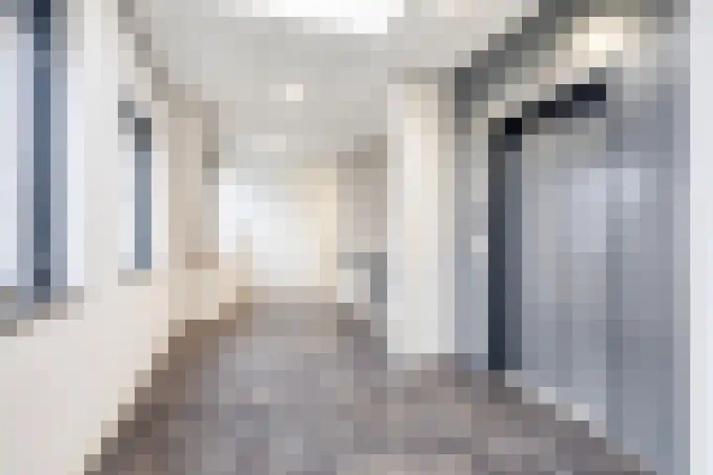 Ruische Poort 37 's-Hertogenbosch thumbnail 15